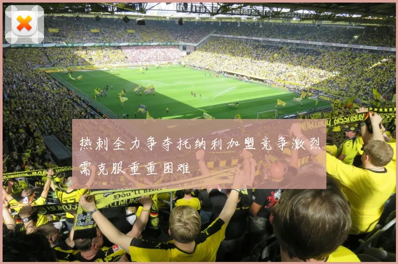 热刺全力争夺托纳利加盟竞争激烈需克服重重困难