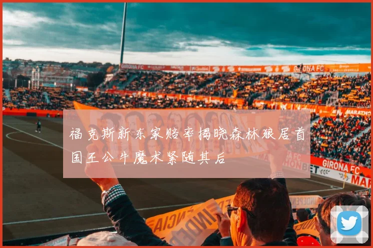 福克斯新东家赔率揭晓森林狼居首国王公牛魔术紧随其后